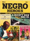 Cover For Negro Heroes 1