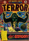 Cover For Startling Terror Tales v1 13