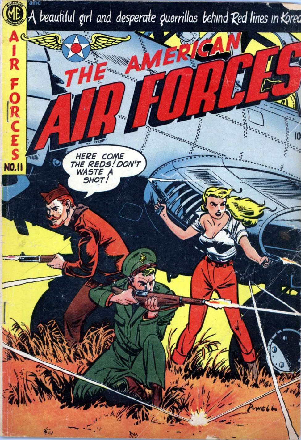 Book Cover For American Air Forces 11