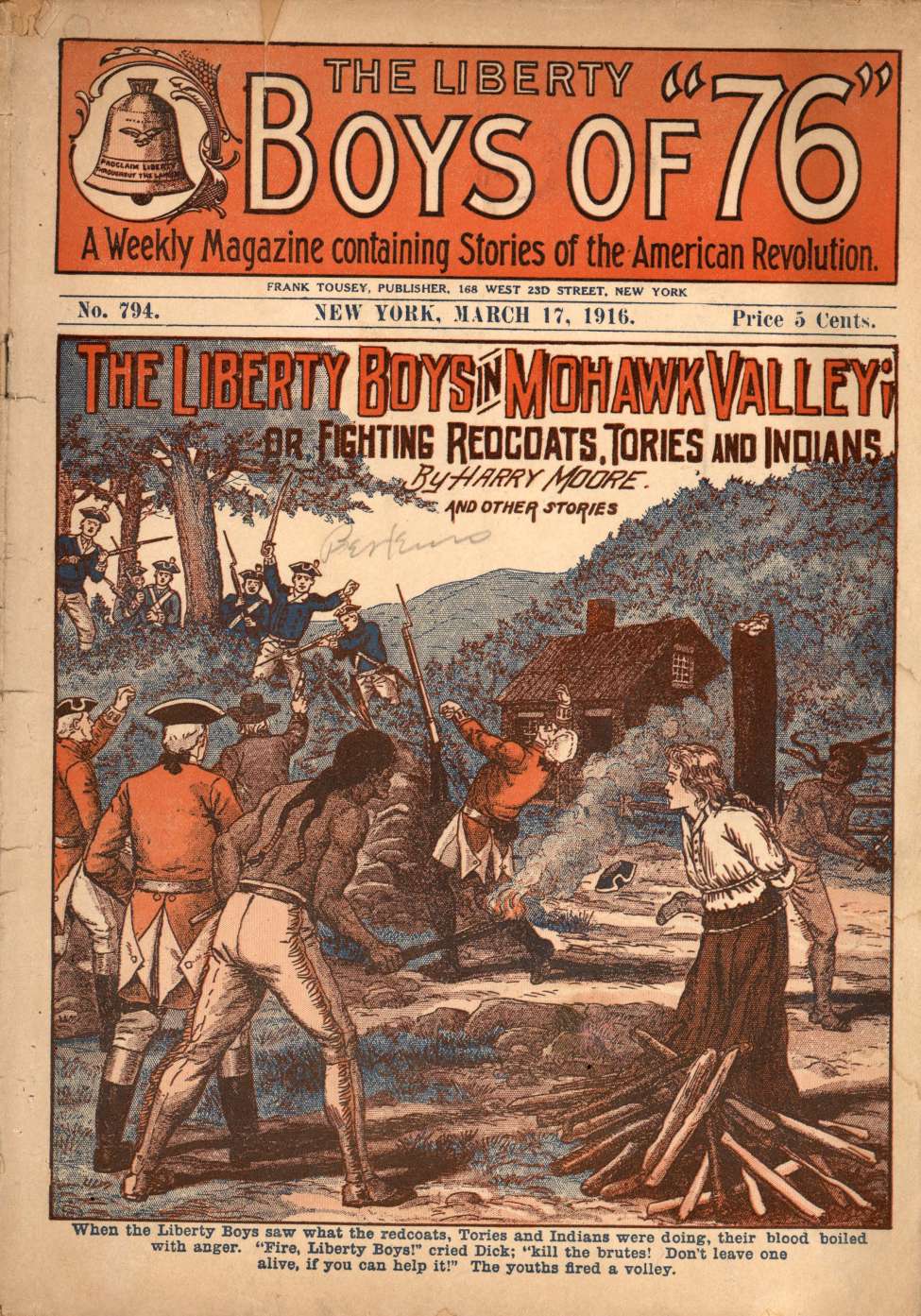 Book Cover For The Liberty Boys of 76 794 - The Liberty Boys in Mohawk Valley