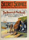 Cover For Secret Service 123 - The Bradys at the Beach