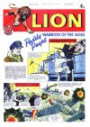 Cover For Lion 429