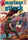 Cover For Marines Attack 3