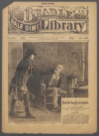 Large Thumbnail For Beadle's Half Dime Library 488 - Wild Dick Racket