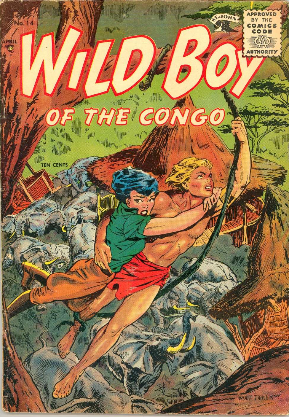 Book Cover For Wild Boy of the Congo 14