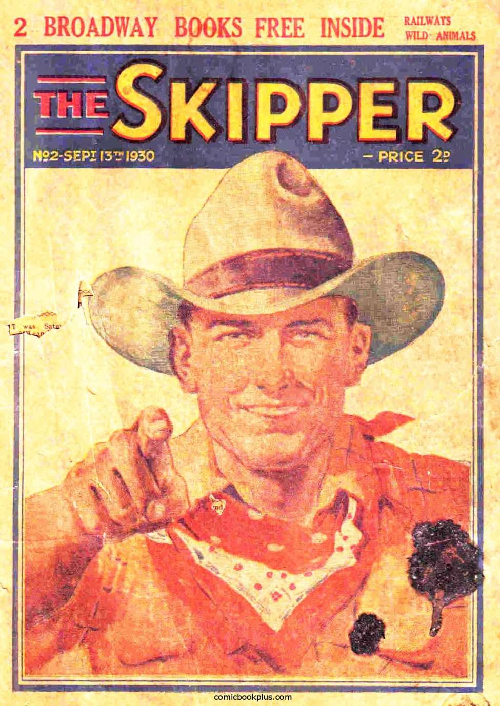 Book Cover For The Skipper 2