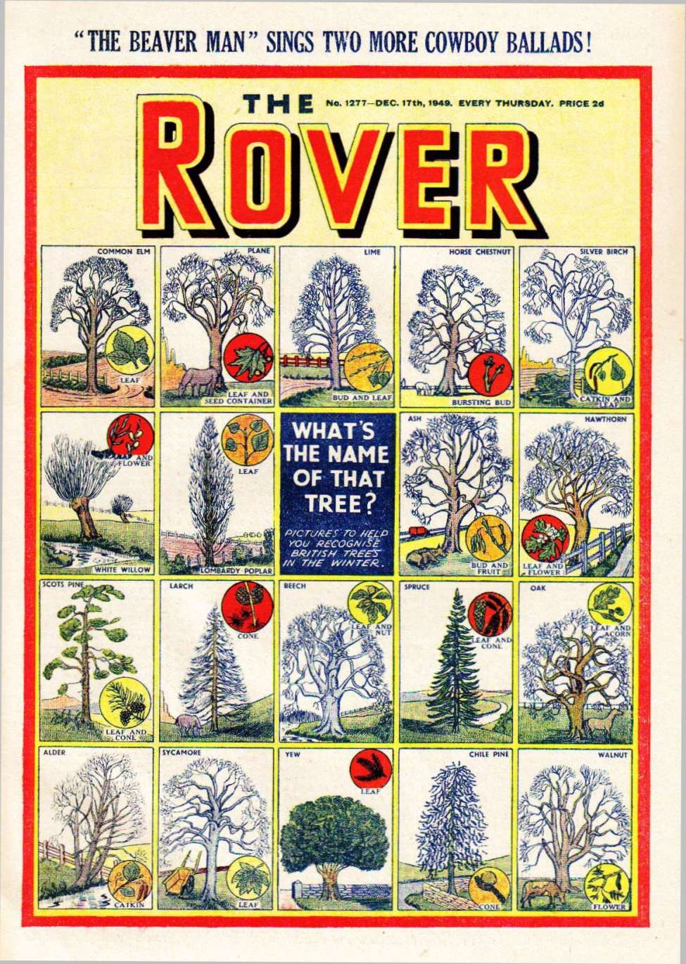 Book Cover For The Rover 1277