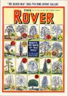 Cover For The Rover 1277