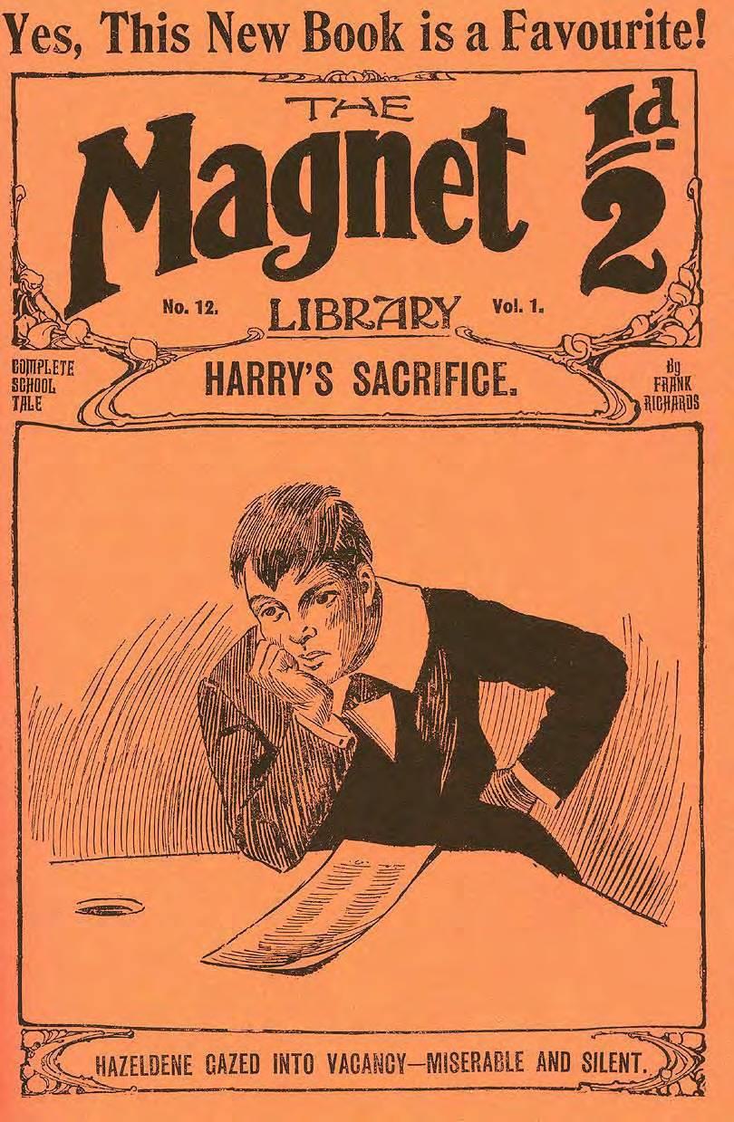 Book Cover For The Magnet 12 - Harry's Sacrifice