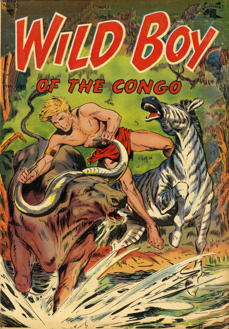 Book Cover For Wild Boy of the Congo 13