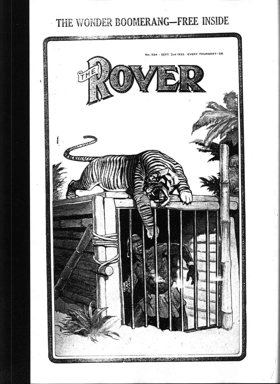 Book Cover For The Rover 594
