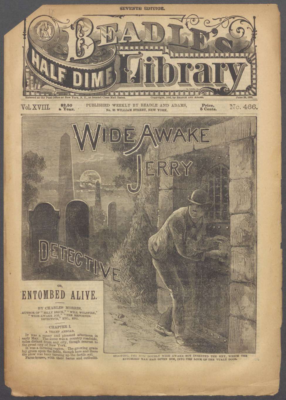 Book Cover For Beadle's Half Dime Library 466 - Wide Awake Jerry, Detective