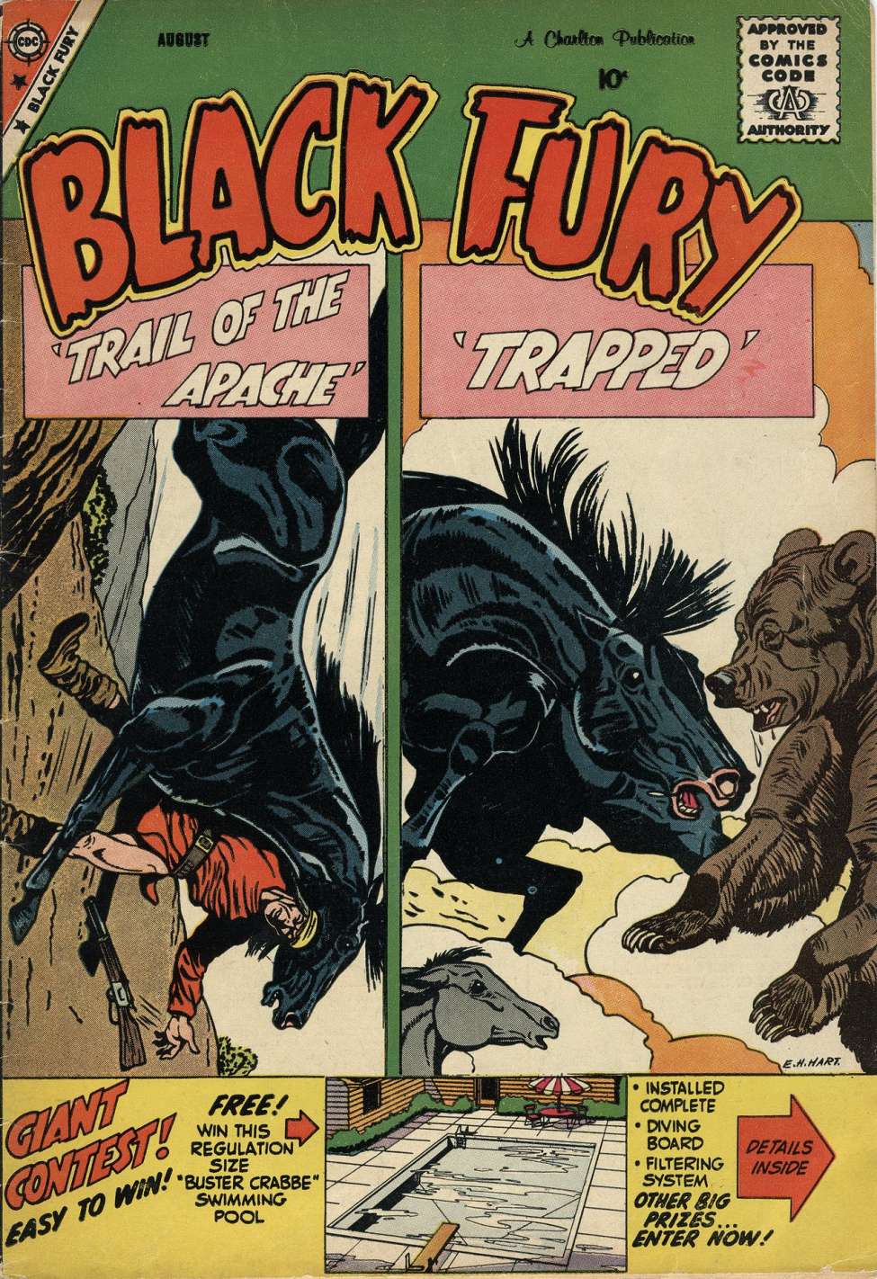 Comic Book Cover For Black Fury 20