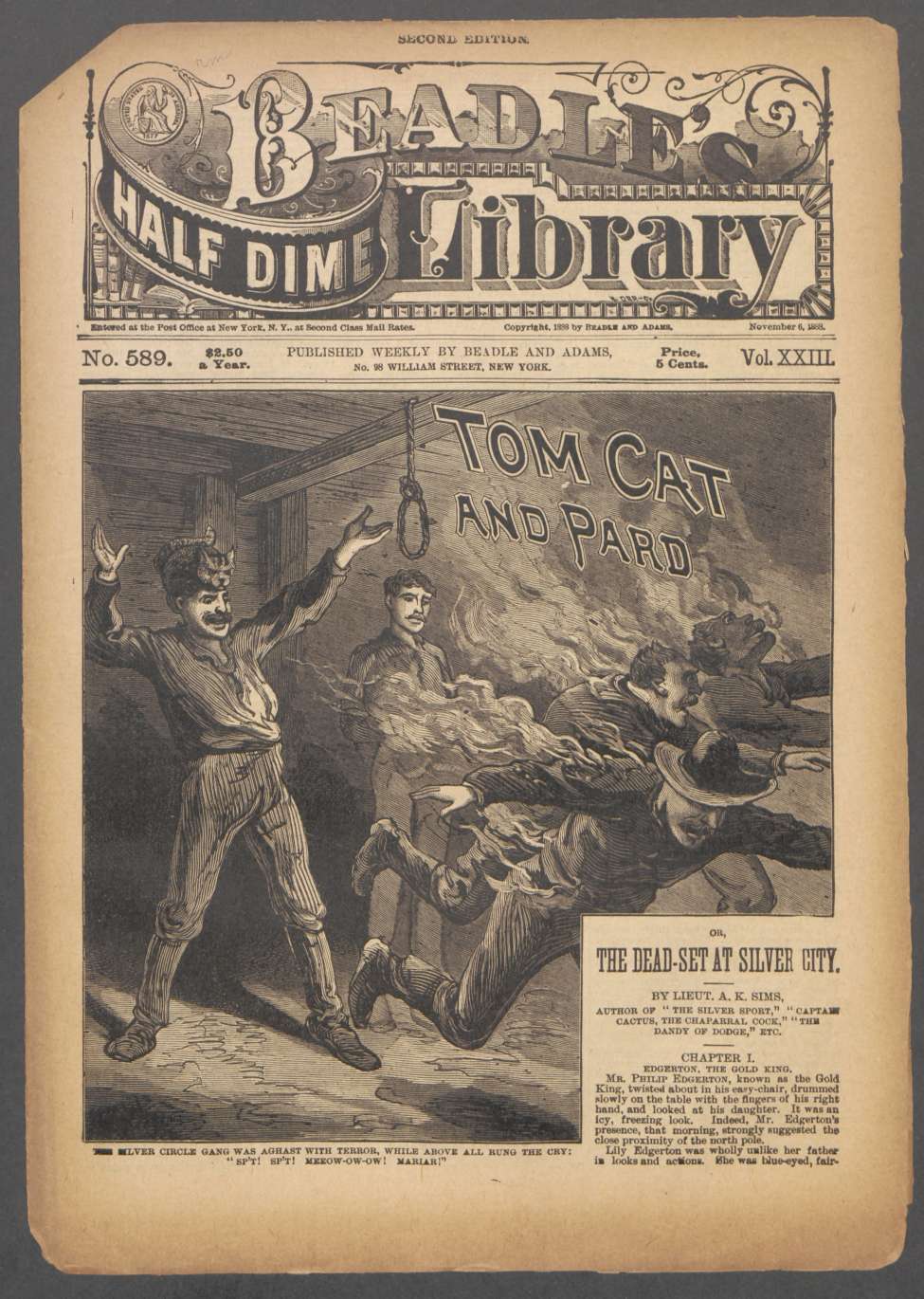 Book Cover For Beadle's Half Dime Library 589 - Tom Cat and Pard