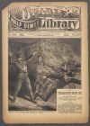 Cover For Beadle's Half Dime Library 589 - Tom Cat and Pard
