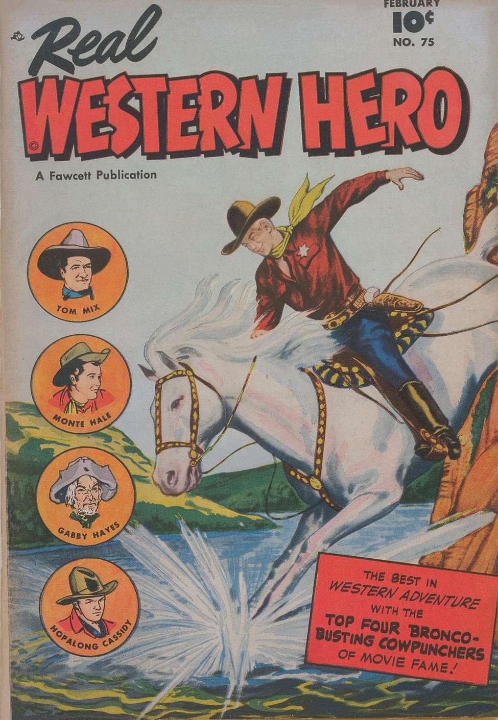 Book Cover For Real Western Hero 75