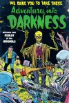 Cover For Adventures into Darkness 13