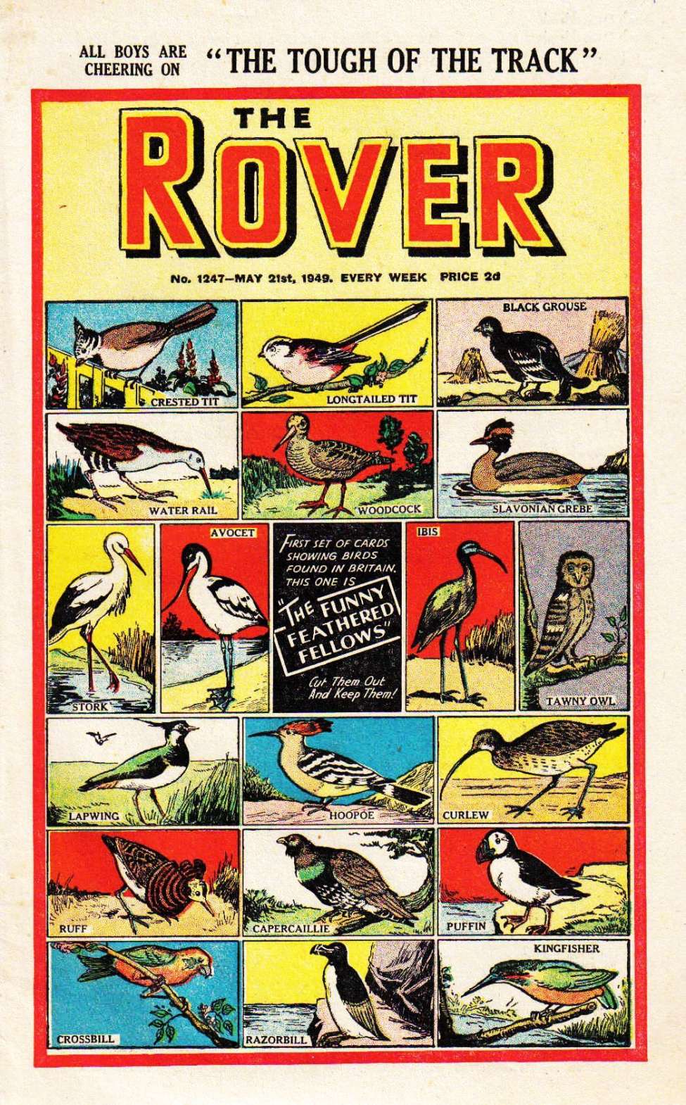 Book Cover For The Rover 1247