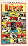 Cover For The Rover 1247