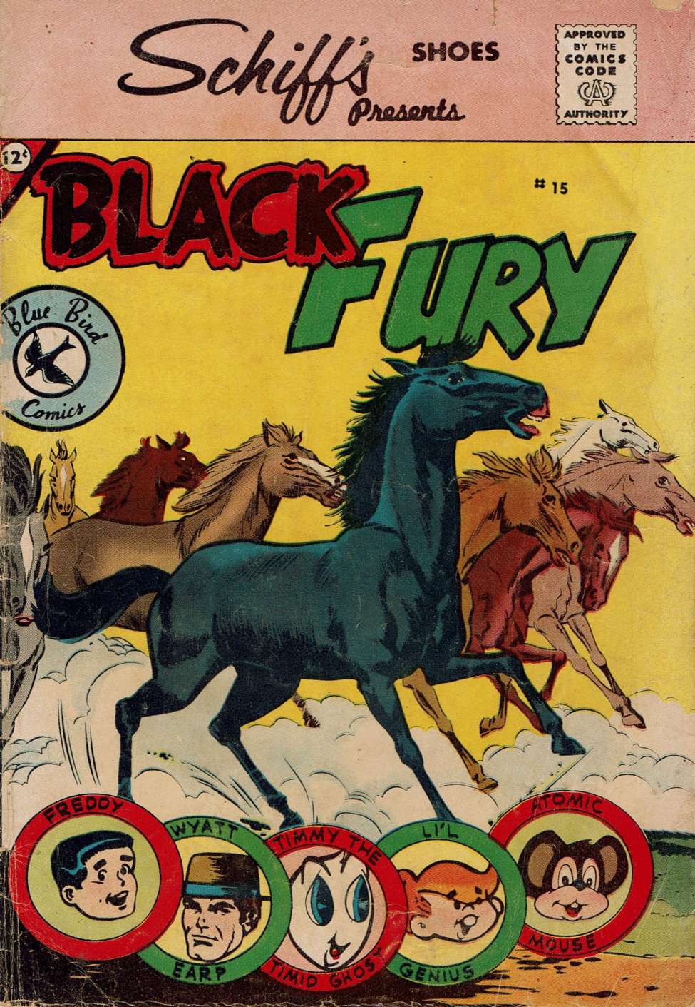 Book Cover For Black Fury 15 (Blue Bird)