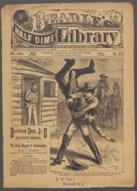 Large Thumbnail For Beadle's Half Dime Library 898 - Deadwood Dick Jr.'s Double Drive