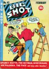 Cover For Big Shot 43