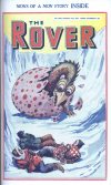 Cover For The Rover 1009