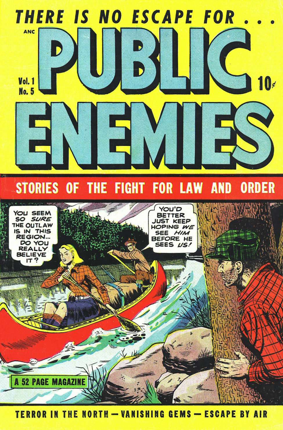Comic Book Cover For Public Enemies 5