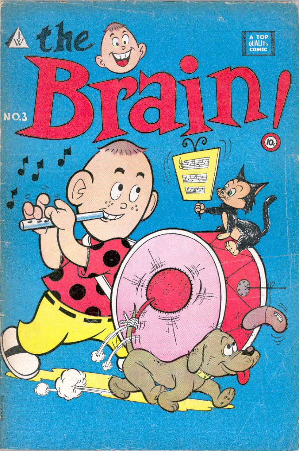 Book Cover For The Brain 3
