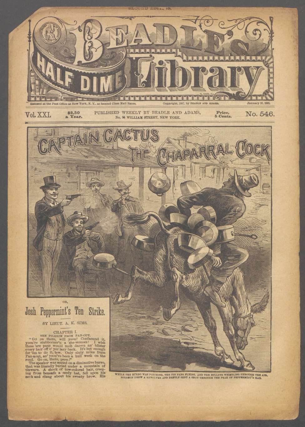 Book Cover For Beadle's Half Dime Library 546 - Captain Cactus, the Chaparral Cock