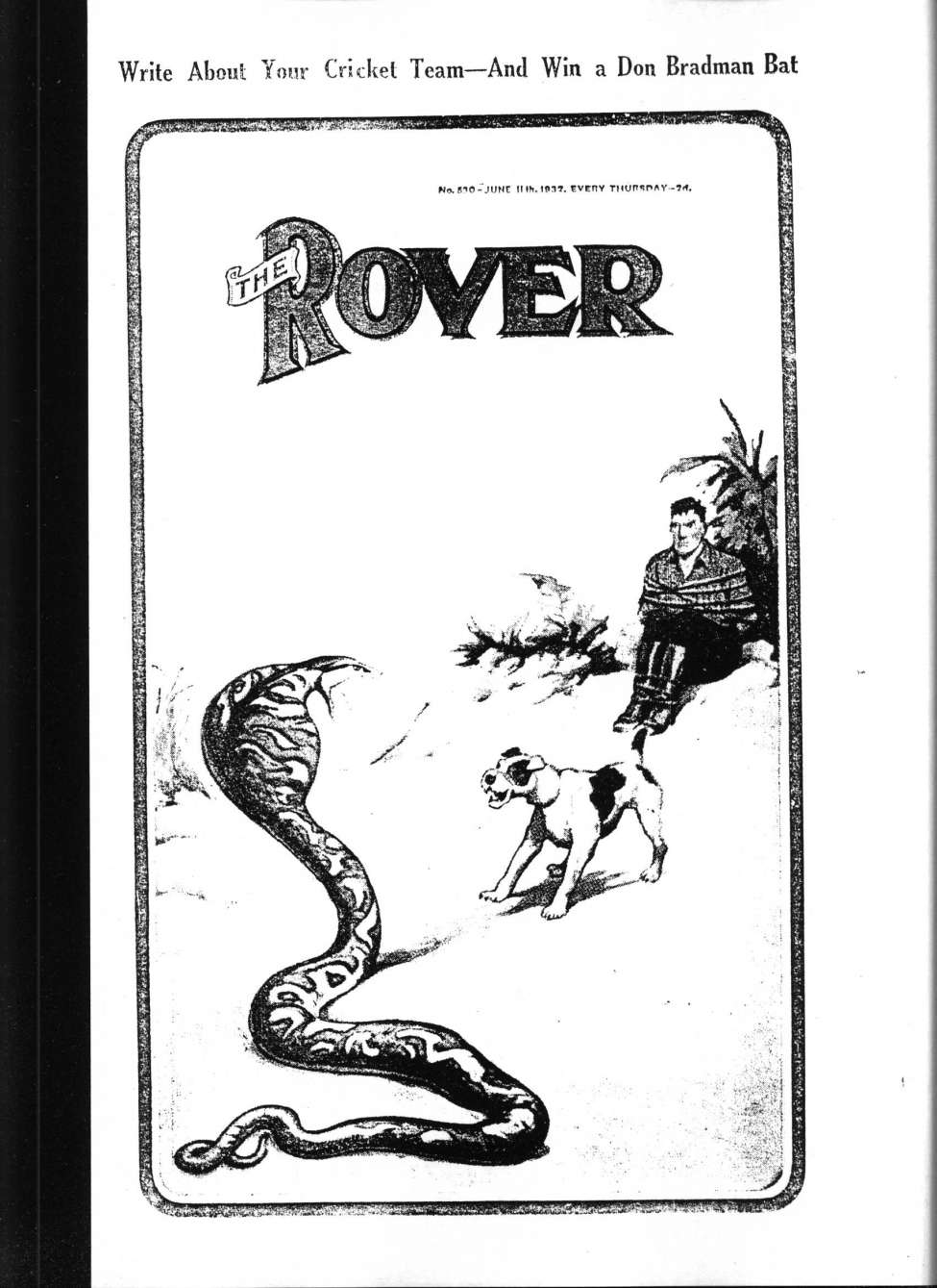 Book Cover For The Rover 530