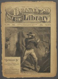 Large Thumbnail For Beadle's Half Dime Library 672 - Deadwood Dick Jr. in Durango