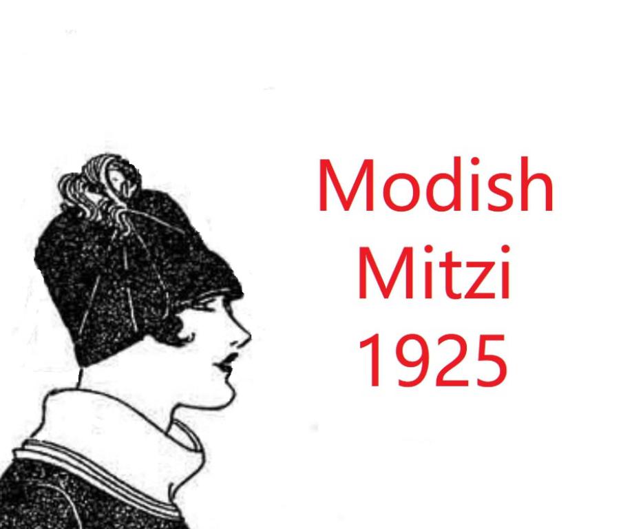 Book Cover For Modish Mitzi 1925