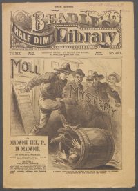 Large Thumbnail For Beadle's Half Dime Library 481 - Moll Mystery