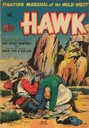 Cover For The Hawk 8