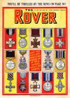 Cover For The Rover 1361