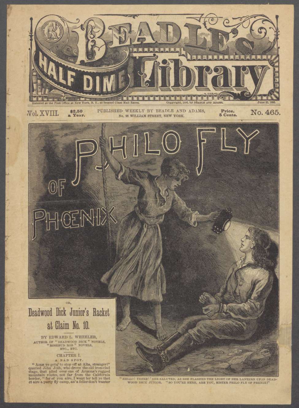 Book Cover For Beadle's Half Dime Library 465 - Philo Fly of Phoenix