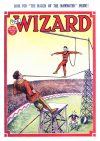 Cover For The Wizard 584