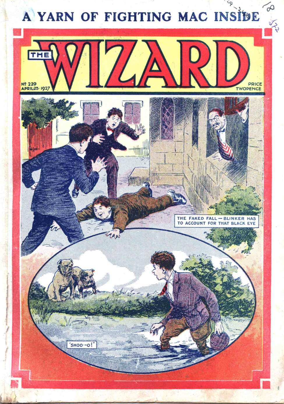Book Cover For The Wizard 229