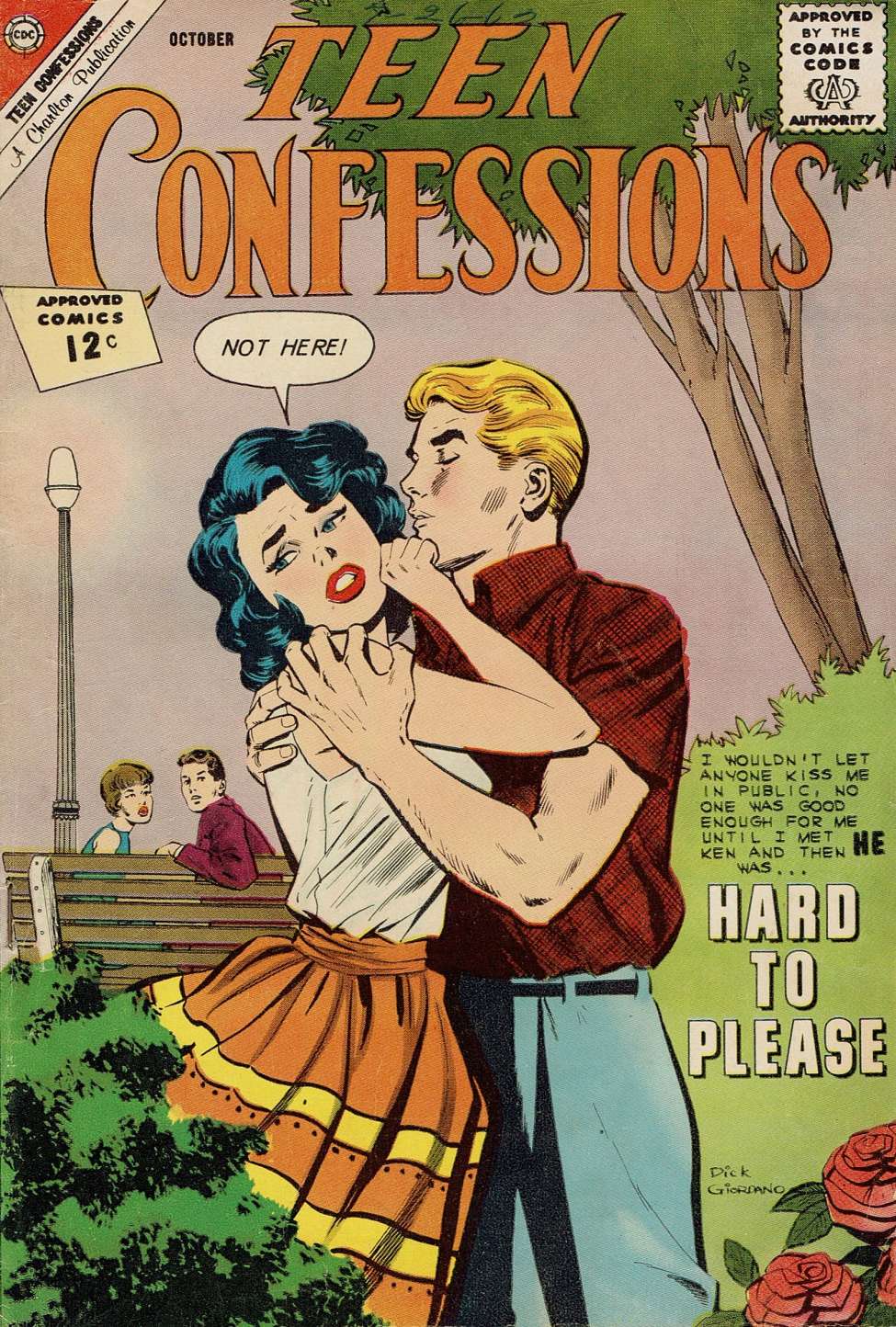 Book Cover For Teen Confessions 19
