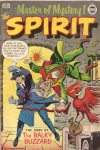 Cover For The Spirit 11