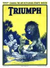 Cover For The Triumph 763