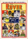 Cover For The Rover 1348