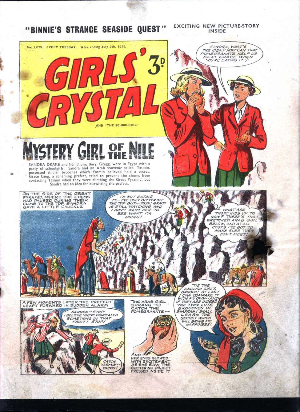 Book Cover For Girls' Crystal 1029