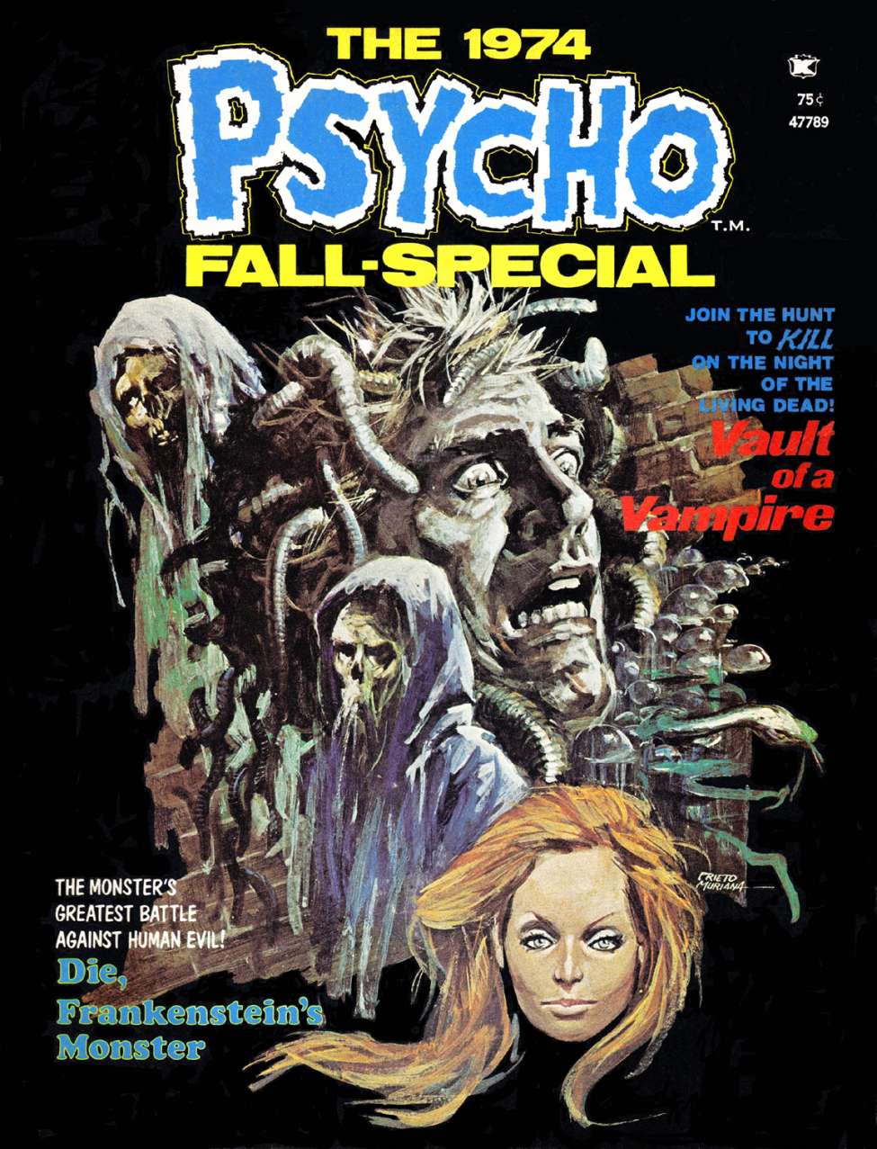 Book Cover For Psycho 22