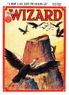 Cover For The Wizard 735