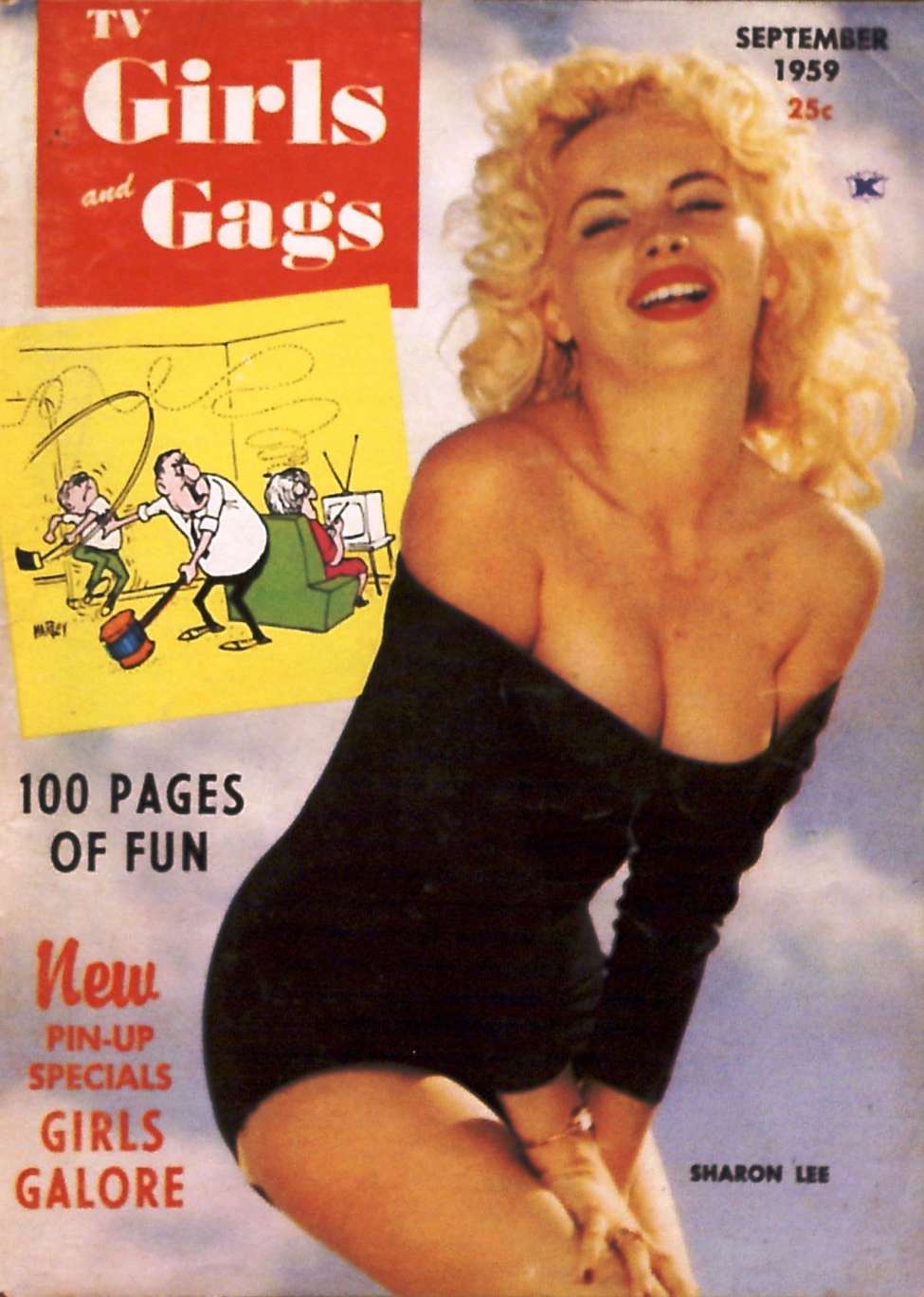 Book Cover For TV Girls and Gags v6 5