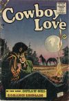 Cover For Cowboy Love 29