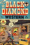 Cover For Black Diamond Western 30