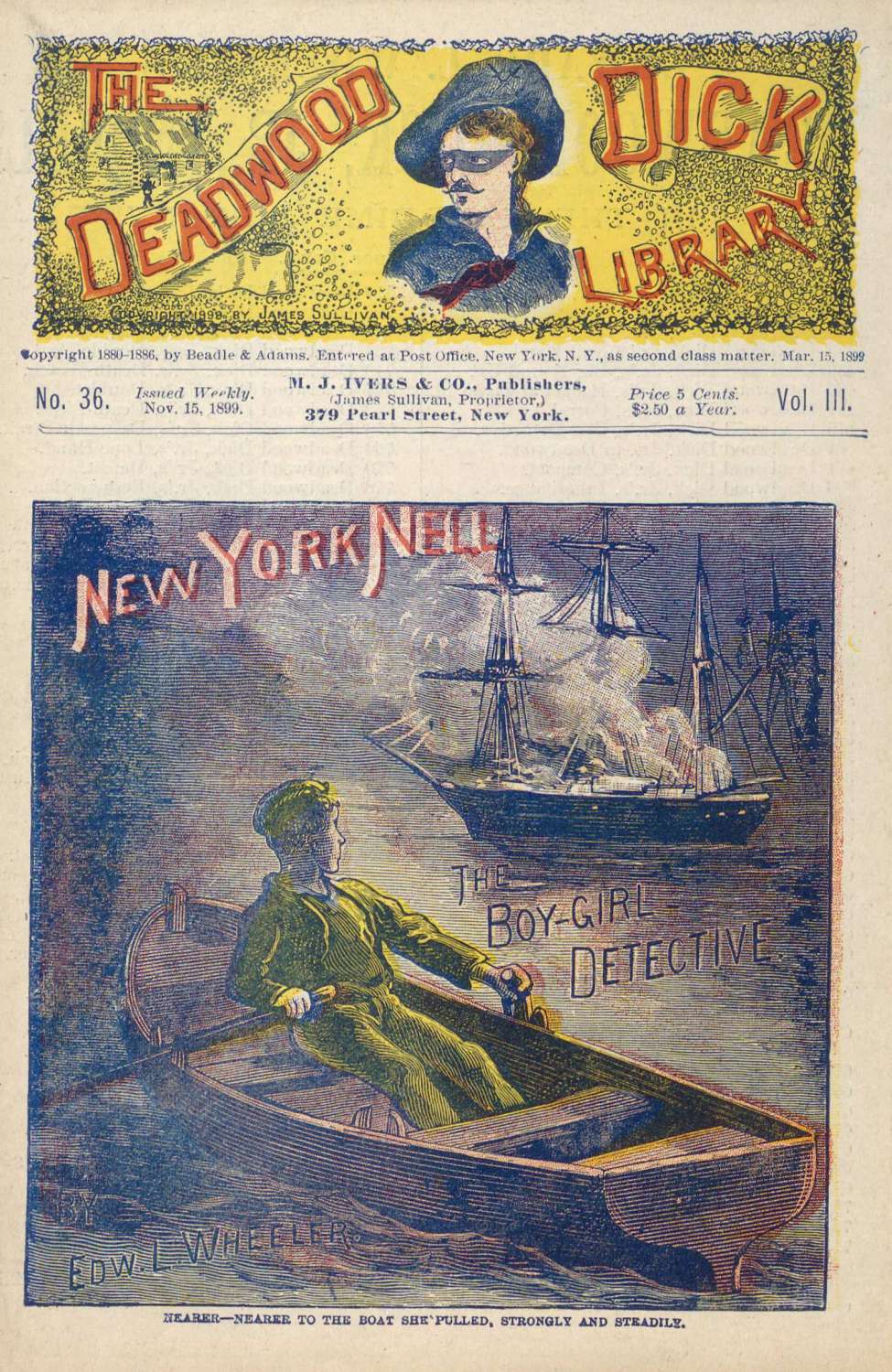 Book Cover For Deadwood Dick Library v2 36 - New York Nell, the Boy-Girl Detective